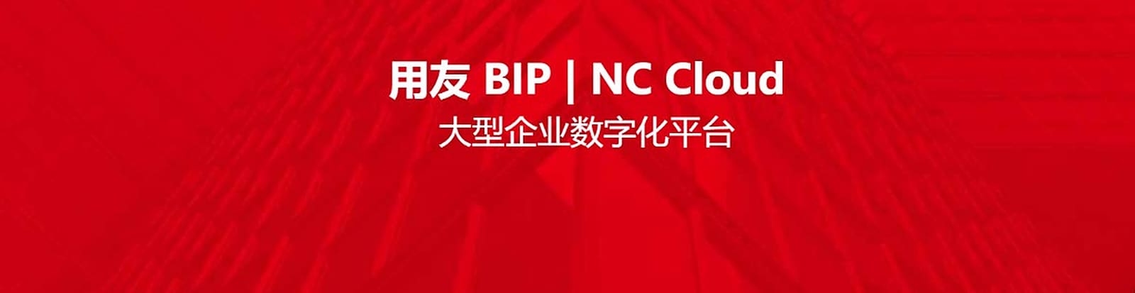 用友 BIP | NC Cloud
