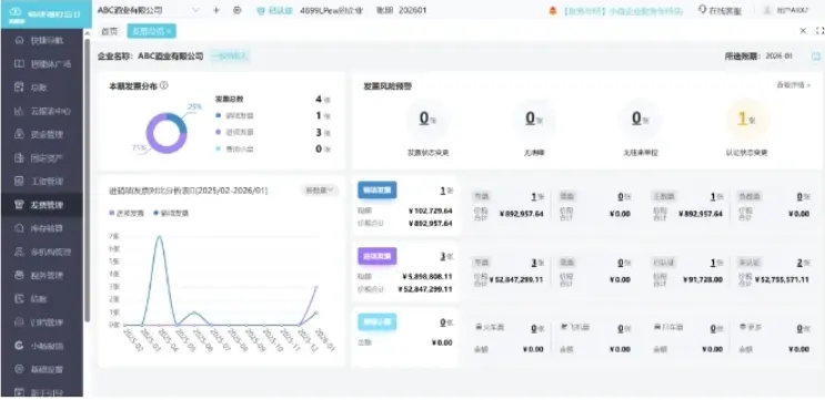 好会计专业版发票可视化总览看板