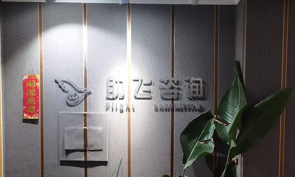 天津助飞服务商贸数字化